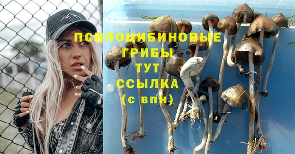 ECSTASY Богородицк