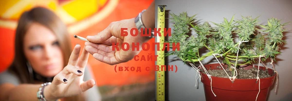 ECSTASY Богородицк