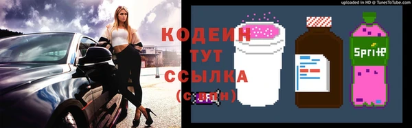 ГАЛЛЮЦИНОГЕННЫЕ ГРИБЫ Михайлов
