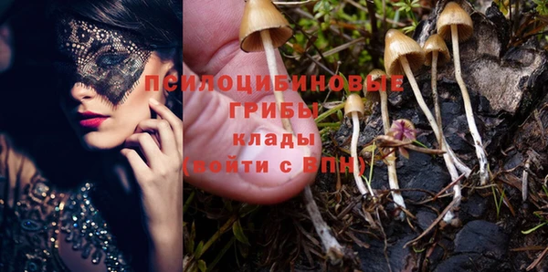ECSTASY Богородицк