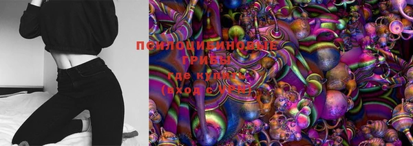 ECSTASY Богородицк