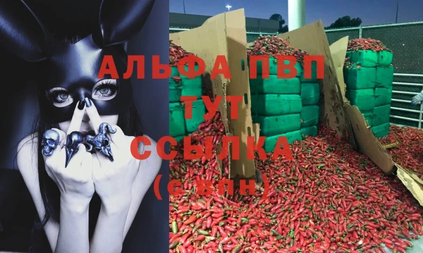 тгк Богородск