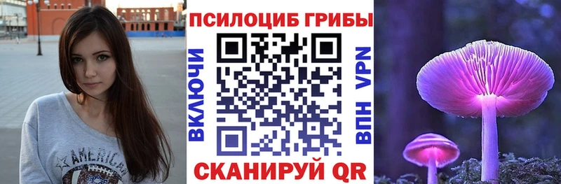 купить Няндома Галлюциногенные грибы GOLDEN TEACHER