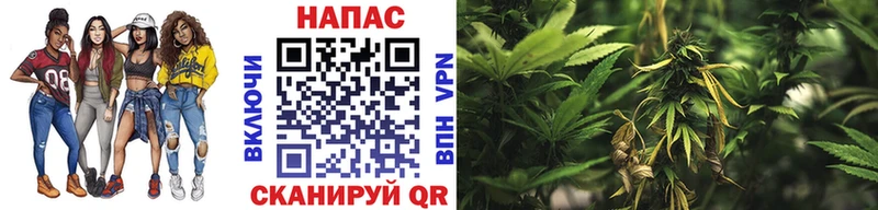 площадка клад  Няндома  Канабис LSD WEED 